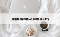奥迪辉腾(辉腾w12和奥迪w12)