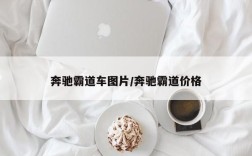 奔驰霸道车图片/奔驰霸道价格