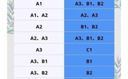 【c1增驾b2是不是亏了,c1可以增a3驾照吗】