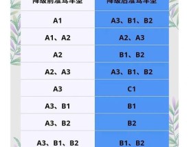 【c1增驾b2是不是亏了,c1可以增a3驾照吗】