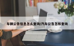 车辆公告信息怎么查询/汽车公告怎样查询