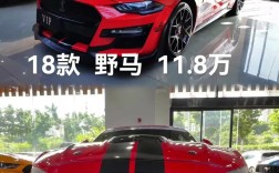 奔跑的马是什么牌子的车／福特野马跑车多少钱