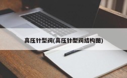 高压针型阀(高压针型阀结构图)