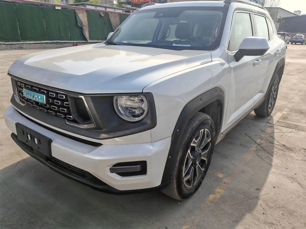 长城大狗2025最新款 长城大狗混动2025款落地价