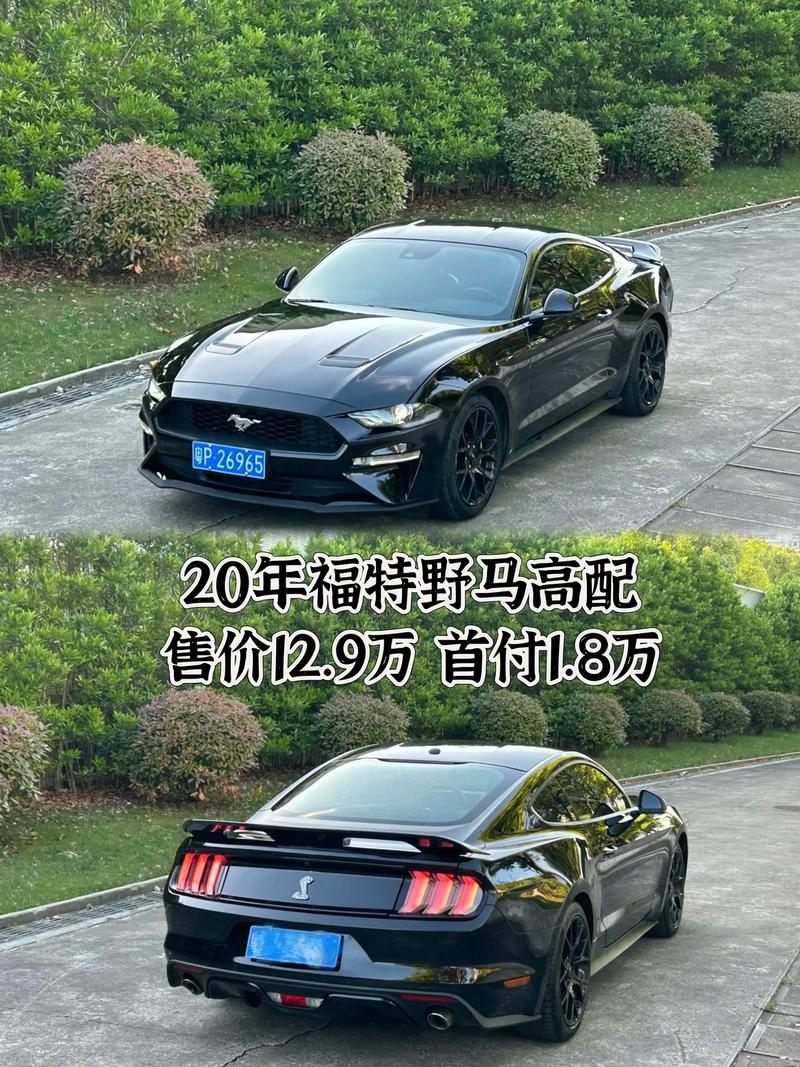奔跑的马是什么牌子的车/福特野马汽车价格及图片