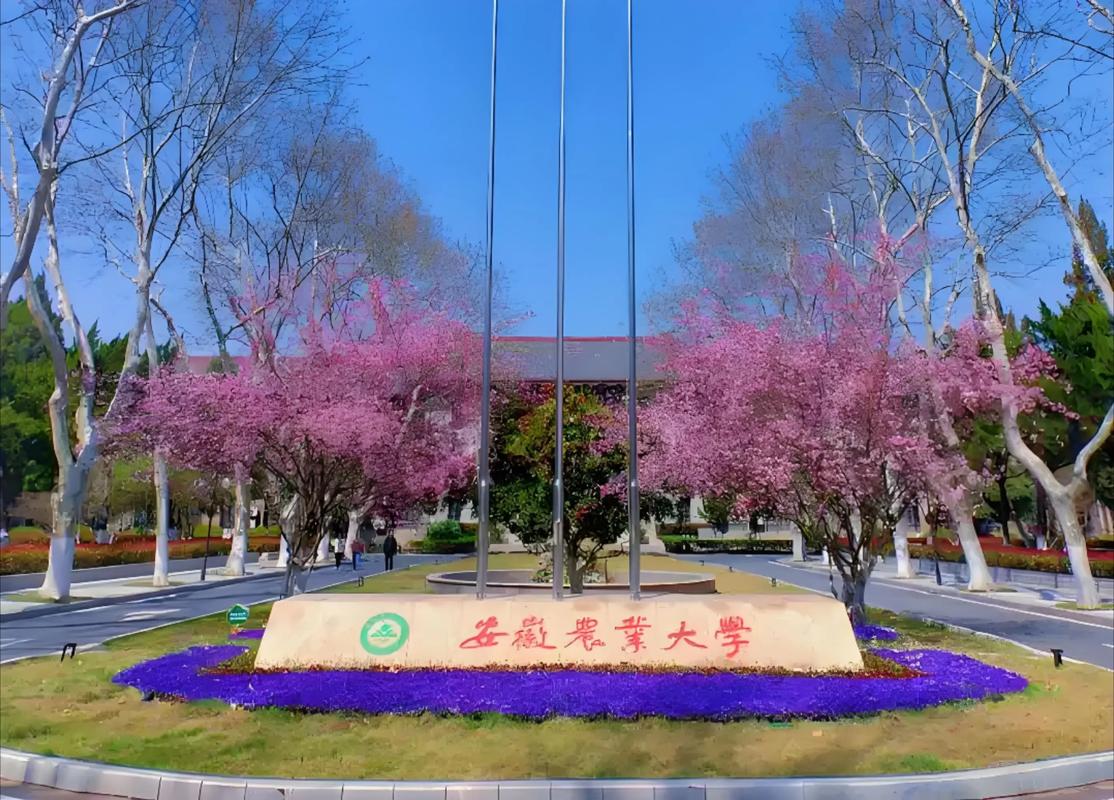 安徽农业大学官网 安徽农业大学官网录取查询入口