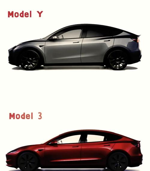 model3和modely买哪个,model3跟modely哪个好