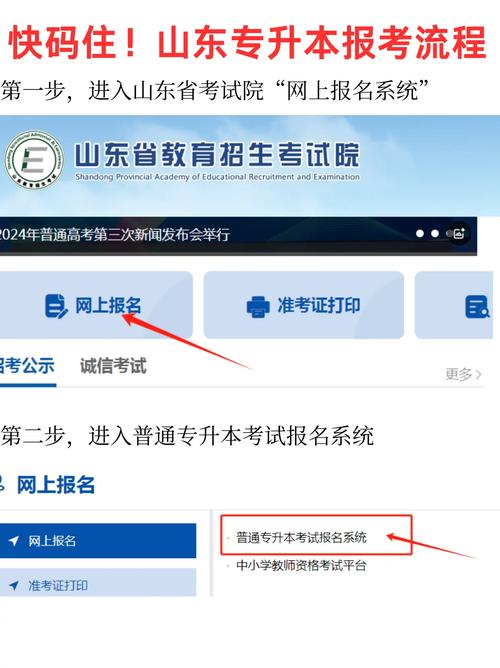 山东高校就业信息网登录入口官网/山东高校毕业生就业信息网进入办事大厅