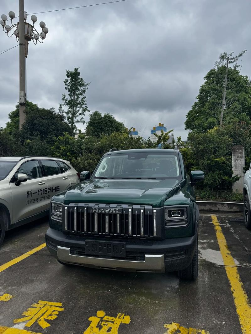 为什么傻子才买猛禽(为什么多傻子买哈弗)